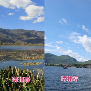洱?div   id=
